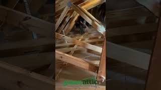 This is how mold can grow in hidden corners of your home!