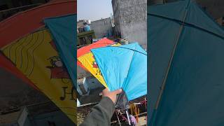 ✅🪁kite looting (Patang) 🪁😱#kiteflying #viralshort #youtubeshorts #15august  #myfirstvlog  #minivlog