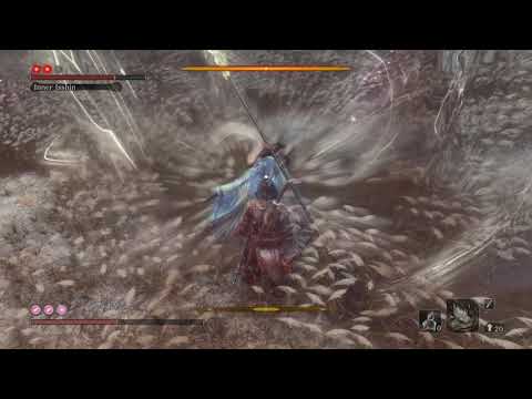 Inner Isshin NG+7 Sekiro™: Shadows Die Twice