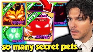 I Got TONS OF SECRET PETS In Bubble Gum Simulator INFINITY UPDATE!