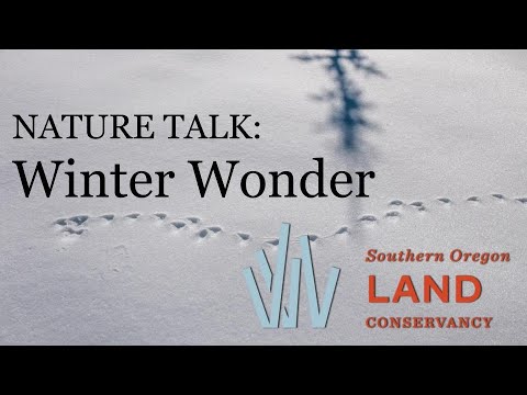 NATURE TALK: Winter Wonder