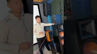 音箱线正负插反了会怎么样？#专业音响系统 #影音室装修 #发烧hifi