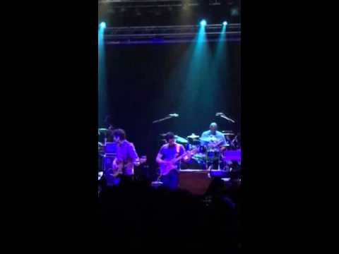 Snarky Puppy -Lingus Live