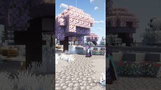 Don’t Make This Mistake in Your Minecraft FOREVER WORLD