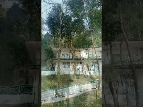 #Treebones #treeboneresort #lamatar #landscapesounds #naturelove #travelvlogz