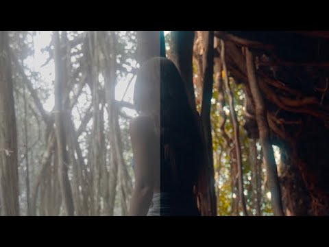 My Quick & Easy Beginners Guide to Color Grading in Premiere Pro