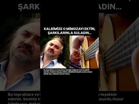 VOLKAN KONAK Mimoza Çiçeği #anısına