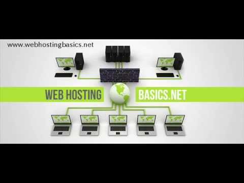 Best web hosting companies