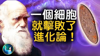 最簡單的生命 擊破了進化論？！被科學界捧上天的生命共同祖先，根本不存在？！｜ #未解之謎 扶搖