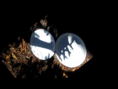 Eclipse shadows