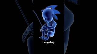 Sonic the Hedgehog is INSIDE YOU