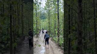 One and only "SOLUTION" 😪🫀🤍 #i_am_rafii #foryou #foryoupage #capcut #solution #travel #sea #ocean