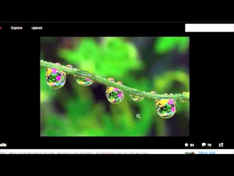 How to Make Creative Commons Searches