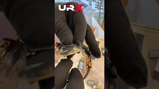 Upptäck lyxen med Jovial 4771 GRLC 13 E – 44MM! ⌚️