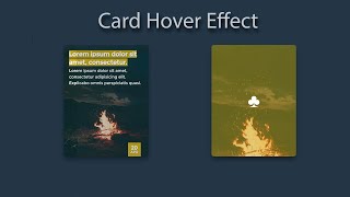 CSS Card Hover Effects | HTML CSS