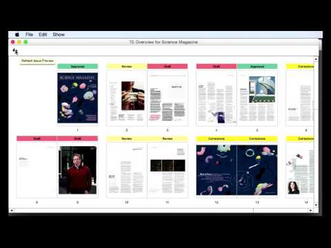 TruEdit Overview Snippet
