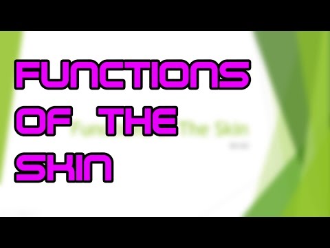 Functions of The Skin