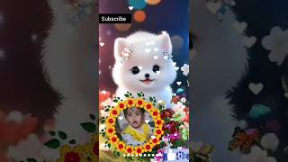nature#video#status#with cat#nature  song# nature reels#software cat shortvideo#softdoll#youtubshort