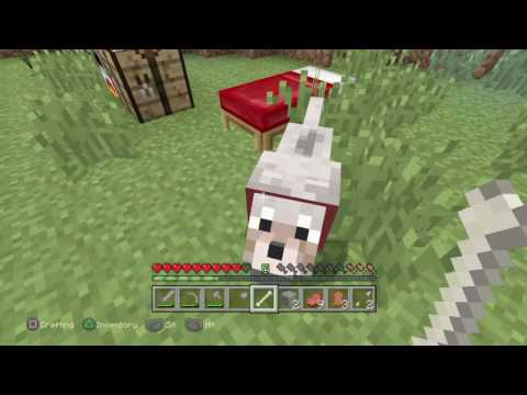 How to survive in minecraft in beginning