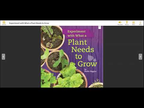 Experiment with What a Plant Needs to Grow by Nadia Higgins