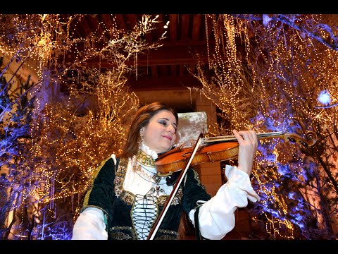 Château de Chambord - violinist dressed in Renaissance costume 🎻⚜- playing Vivaldi Solo