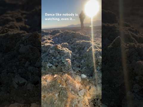 Dance like nobody’s watching even if… #DanceLikeNobodysWatching #DanceAlone #YouTubeVideos