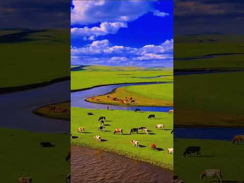 Nature video Nature is very beautiful Earth🌎 is very wonderful✨😍 palce #natureworld #naturelive