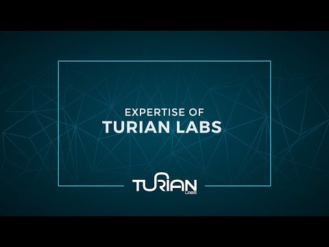 Turian Labs offers differentiated innovation consulting. How?