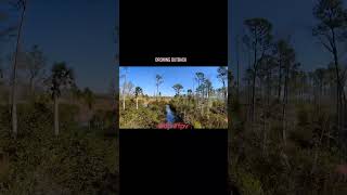 #drone #dronefpv #fpv #fpvpilot #Florida