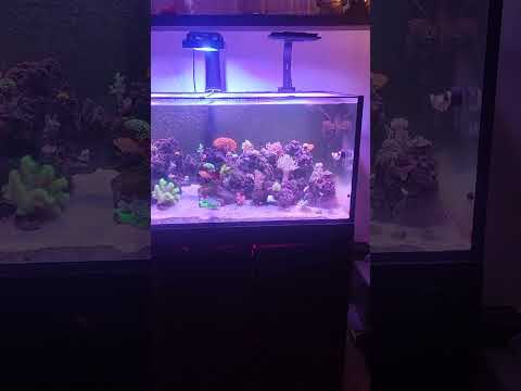 dinner time