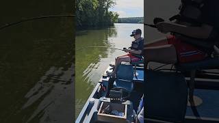 Nice summer catch! #shorts #fishing #fishingfun #bassfishing