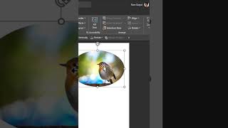 Crop a Photo into Circular Shape