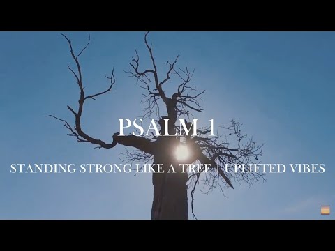 Standing Strong Like a Tree | Psalm 1 Music Video