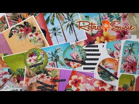 Let's Catch Up! Exciting Updates And What I've Been Doing Lately
