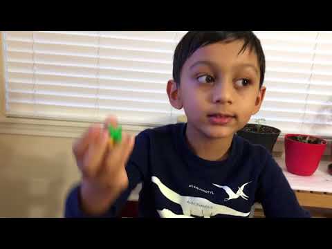 How to make a Flower Pot with Classic Legos?
