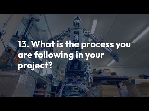 13. What is the process you are following in your project?