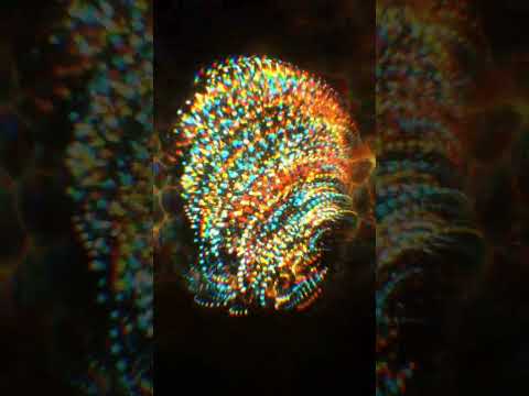 Instance Trails based on my latest tutorial