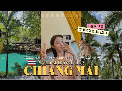 인생 첫 혼자 해외여행 ✈️ 치앙마이 브이로그 (2) 🇹🇭 찡짜이·코코넛마켓·요가·올드타운·인생맛집까지 | 혼자서도 이렇게 좋다고? 🌴