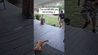 The cat NEVER saw me coming 😹