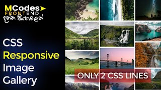 Responsive CSS Image Gallery Only in Two lines (Sinhala)🔥💪