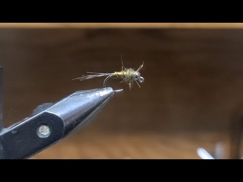 Tying the Tungsten Torpedo Jig Nymph!!