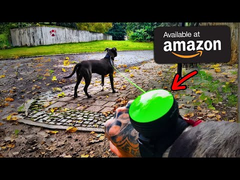 Best Pet Gadgets On Amazon And Innovation | Pet Gadgets On Amazon And Innovation 2023