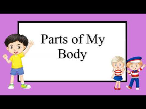 Parts of the body | Learn English for kids