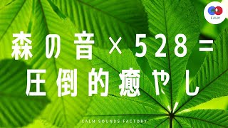 森林浴の自然音とソルフェジオ周波数528Hz単音の癒やし効果でリラックスできる環境音【睡眠、瞑想用】