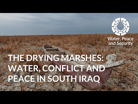 The Drying Marshes: Water, Conflict and Peace in South Iraq