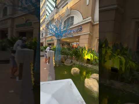 EASTWOOD Q.C (MONTAGE) PT. 2 2022