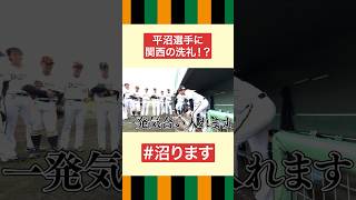 沼ります。#平沼翔太 #麦谷祐介 #オリックス #shorts