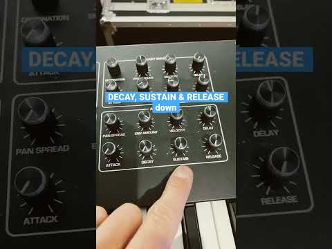 How to create click-sounds with the Prophet Rev2 Synth. #quicktutorial #sounddesign