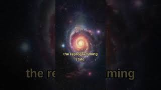 Don’t Fight Your Thoughts — Rewire Them This Way #mindrewiring  #spiritualpsychology #innerwork