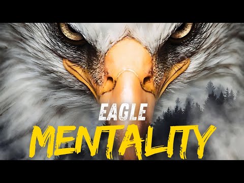 Eagle Mentality | Power of Eagle Mindset | Best Inspiring Video | Shake My Core